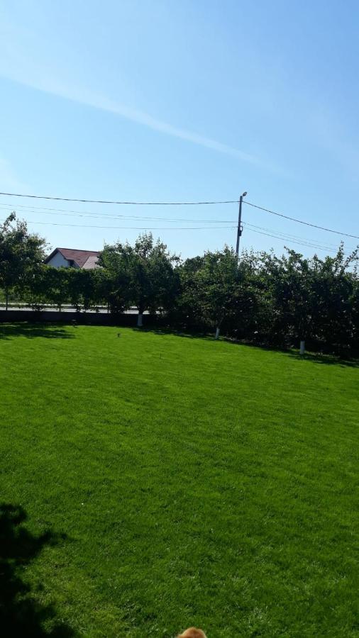 Vila Alexa Costinesti Ngoại thất bức ảnh