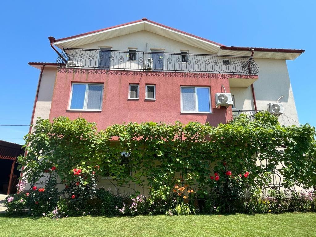 Vila Alexa Costinesti Ngoại thất bức ảnh