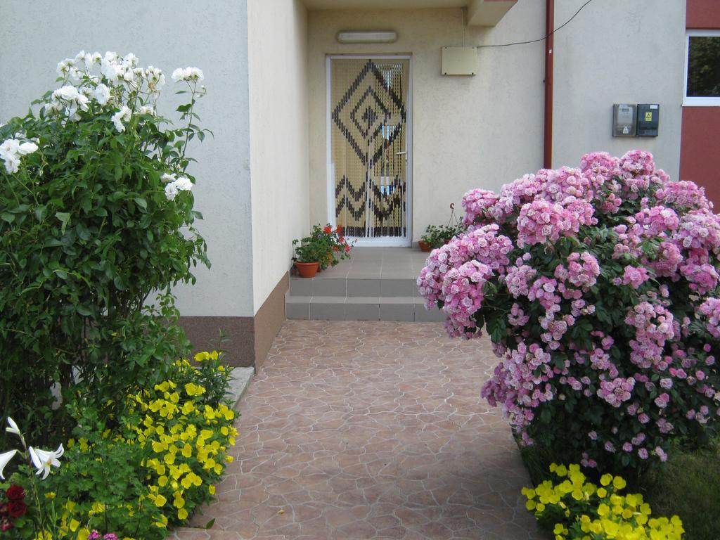 Vila Alexa Costinesti Ngoại thất bức ảnh